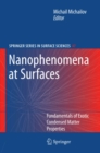Image for Nanophenomena at surfaces: fundamentals of exotic condensed matter phenomena