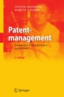 Image for Patentmanagement: Innovationen erfolgreich nutzen und schutzen