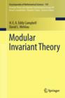Image for Modular invariant theory