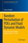 Image for Random Perturbation of PDEs and Fluid Dynamic Models