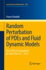 Image for Random perturbation of PDEs and fluid dynamic models: Ecole d&#39;ete de probabilites de Saint-Flour XL-2010