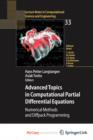 Image for Advanced Topics in Computational Partial Differential Equations