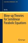 Image for Blow-up Theories for Semilinear Parabolic Equations