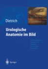 Image for Urologische Anatomie im Bild: von der kunstlerisch-anatomischen Abbildung zu den ersten Operationen
