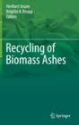 Image for Recycling of Biomass Ashes