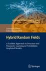 Image for Hybrid Random Fields