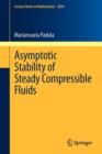 Image for Asymptotic stability of steady compressible fluids