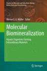 Image for Molecular Biomineralization