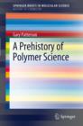 Image for A prehistory of polymer science