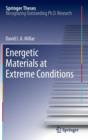 Image for Energetic materials at extreme conditions