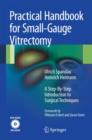 Image for Practical handbook for small-gauge vitrectomy  : a step-by-step introduction to surgical techniques