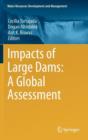 Image for Impacts of large dams  : a global assessment