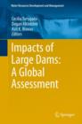 Image for Impacts of large dams: a global assessment