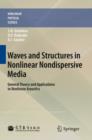Image for Waves and Structures in Nonlinear Nondispersive Media