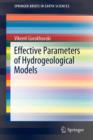 Image for Effective Parameters of Hydrogeological Models