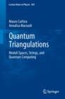 Image for Quantum Triangulations