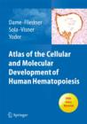 Image for Atlas of the Cellular and Molecular Development of Human Hematopoiesis