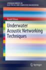 Image for Underwater acoustic networking techniques