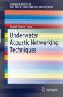 Image for Underwater acoustic networking techniques