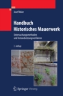 Image for Handbuch Historisches Mauerwerk: Untersuchungsmethoden und Instandsetzungsverfahren