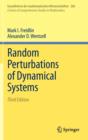 Image for Random Perturbations of Dynamical Systems