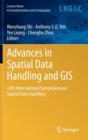 Image for Advances in Spatial Data Handling and GIS