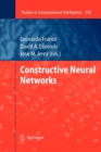 Image for Constructive Neural Networks