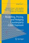 Image for Modelling, Pricing, and Hedging Counterparty Credit Exposure