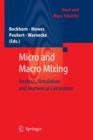 Image for Micro and Macro Mixing : Analysis, Simulation and Numerical Calculation
