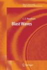 Image for Blast Waves