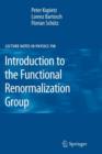 Image for Introduction to the Functional Renormalization Group