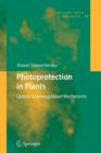 Image for Photoprotection in Plants