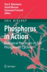 Image for Phosphorus in Action : Biological Processes in Soil Phosphorus Cycling