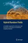 Image for Hybrid Random Fields