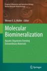 Image for Molecular Biomineralization : Aquatic Organisms Forming Extraordinary Materials