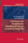 Image for Continuous and Discontinuous Modelling of Fracture in Concrete Using FEM