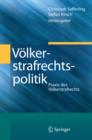 Image for Volkerstrafrechtspolitik: Praxis des Volkerstrafrechts