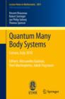 Image for Quantum many body systems