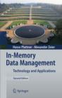 Image for In-memory data management: technology and applications