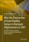 Image for After the destruction of giant Buddha statue in Bamilyan (Afghanistan) in 2001: a UNESCO&#39;s emergency activity for the recovering and rehabilitation of cliff and niches : 17