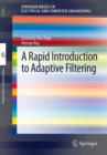 Image for A Rapid Introduction to Adaptive Filtering