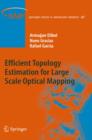 Image for Efficient Topology Estimation for Large Scale Optical Mapping