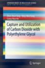 Image for Capture and Utilization of Carbon Dioxide with Polyethylene Glycol