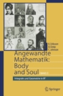 Image for Angewandte Mathematik: Body and Soul : Band 2: Integrale und Geometrie in IRn