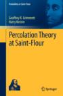 Image for Percolation Theory at Saint-Flour
