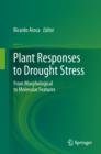 Image for Plant responses to drought stress  : from morphological to molecular features