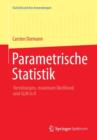 Image for Parametrische Statistik : Verteilungen, Maximum Likelihood Und Glm in R