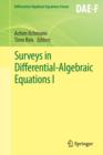 Image for Surveys in Differential-Algebraic Equations I