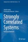 Image for Strongly Correlated Systems : Numerical Methods
