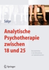 Image for Analytische Psychotherapie Zwischen 18 Und 25: Besonderheiten in Der Behandlung Von Spatadoleszenten
